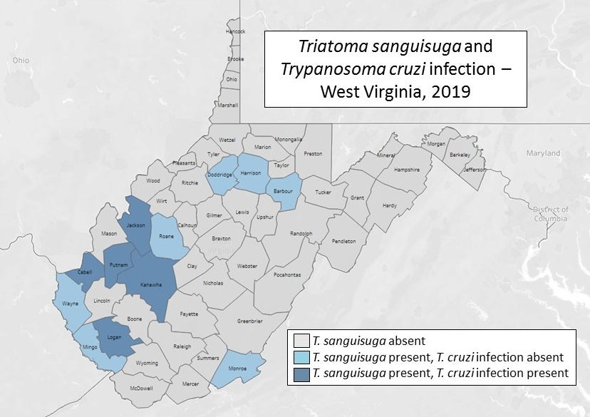 Triatomasanguisuga in West Virginia map